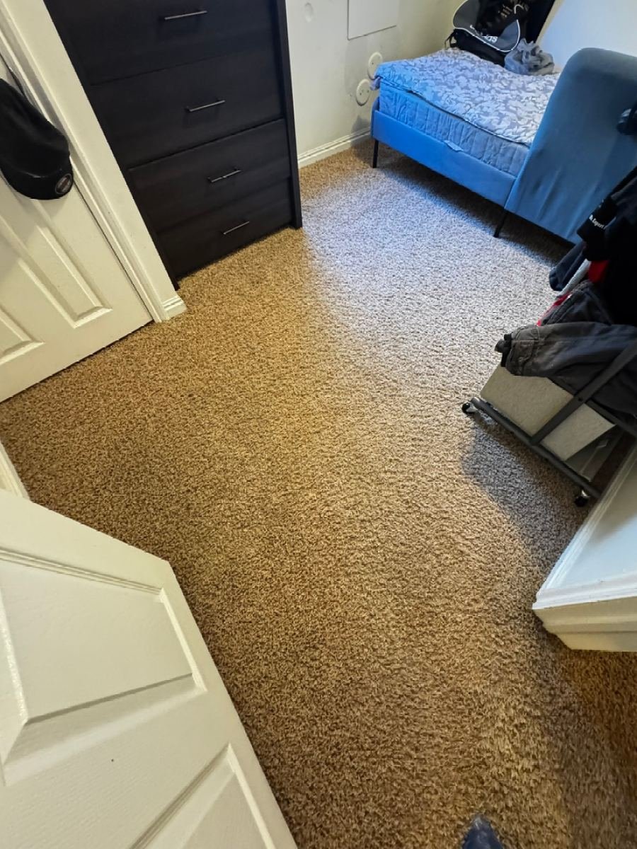 Bedroom carpet after cleaning