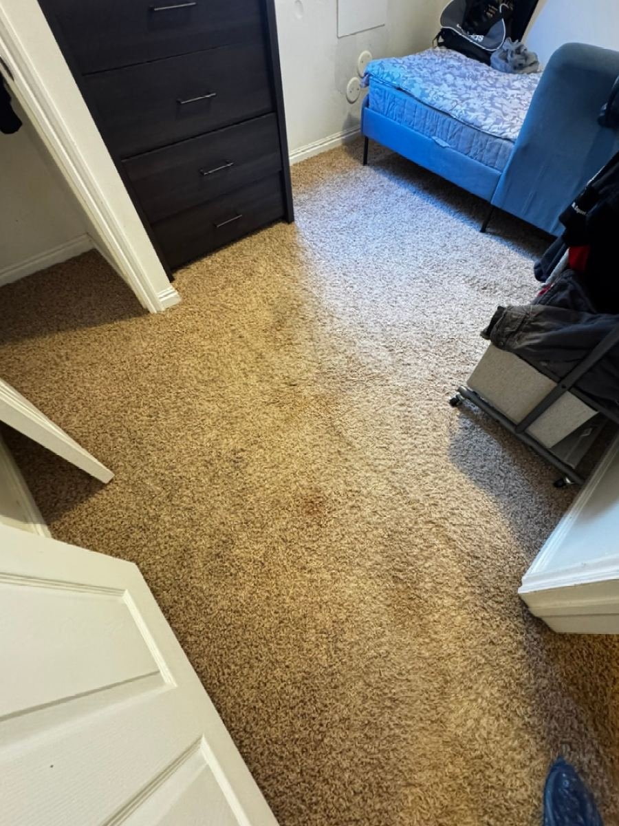 Bedroom carpet before cleaning