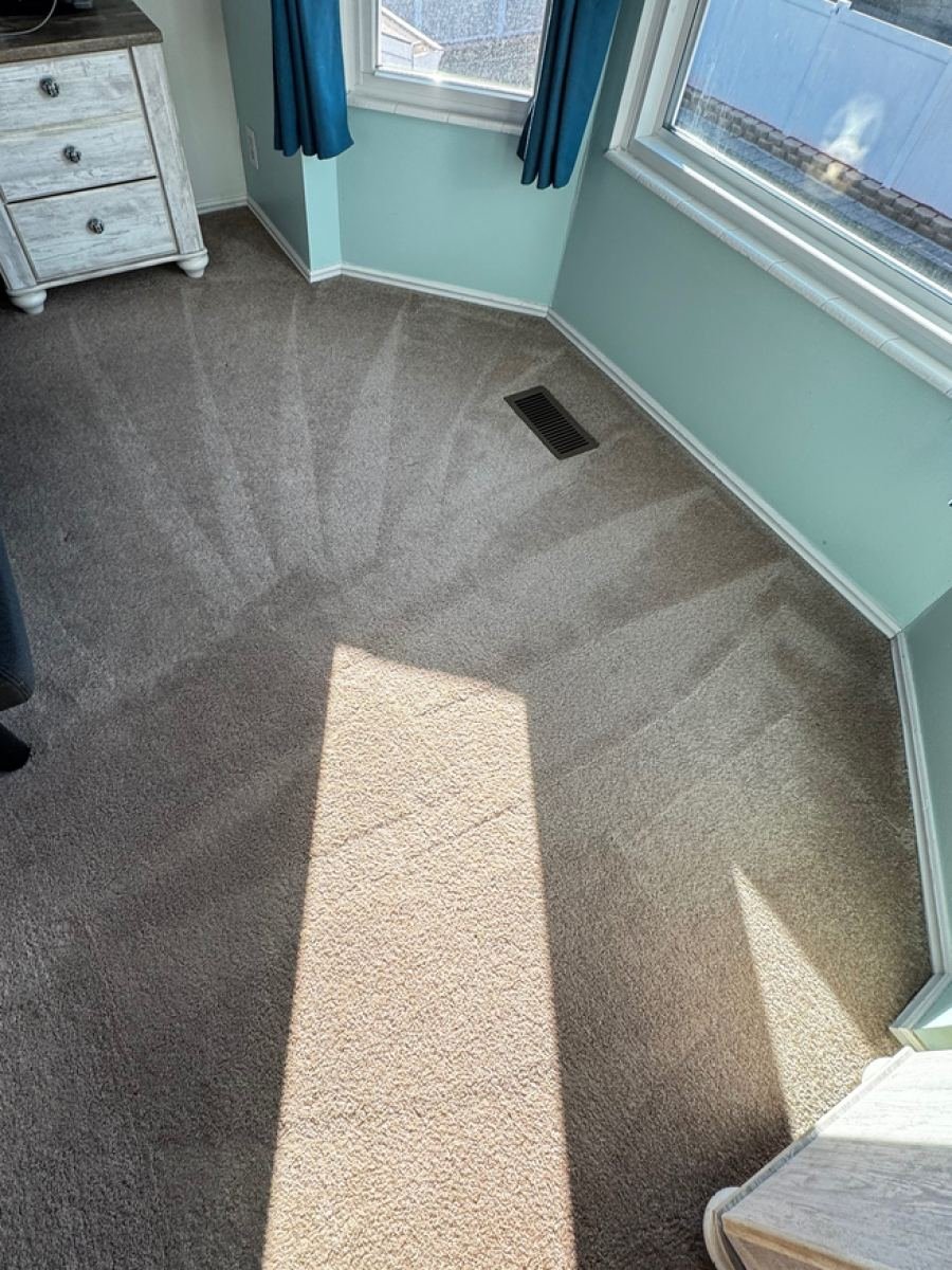 Bedroom carpet after cleaning
