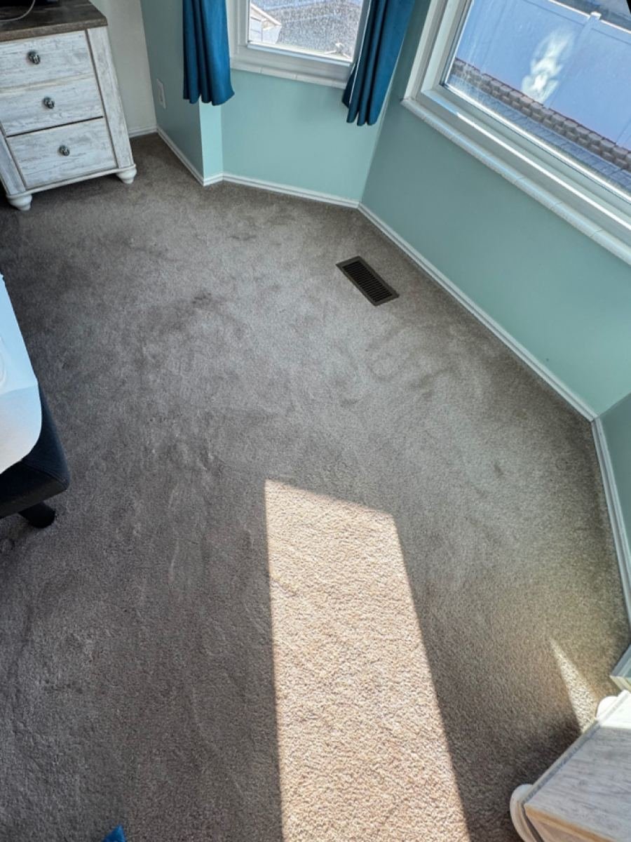 Bedroom carpet before cleaning