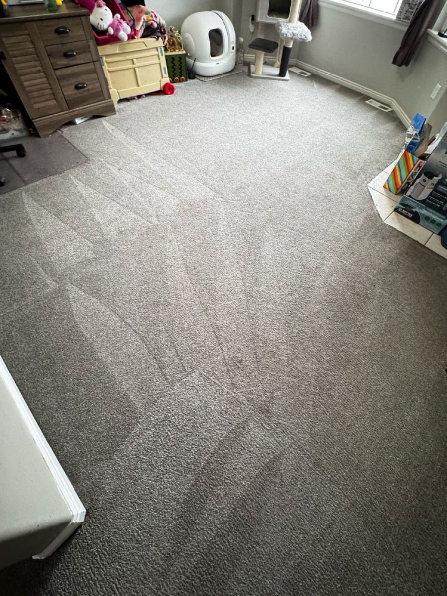 Kids&rsquo; room carpet after cleaning