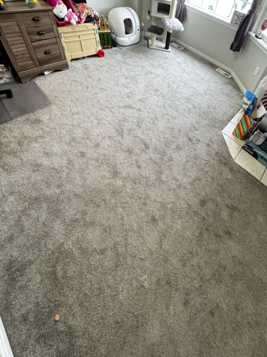 Kids&rsquo; room carpet before cleaning